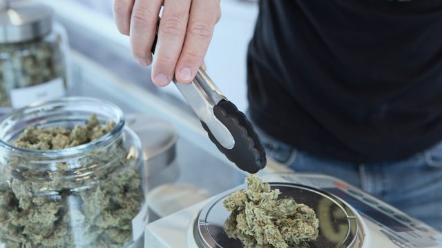 Understanding Cannabis Potency: Debunking Myths for 2023