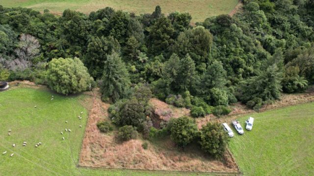 Unlocking Financial Value from Native Forests: A Sustainable Initiative