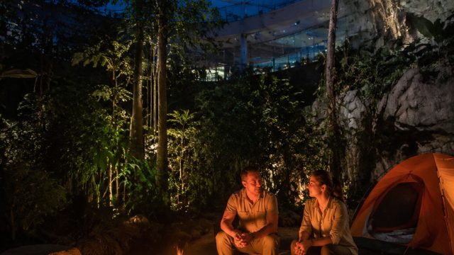 Camp Under the Stars at The Green Planet, Dubai: A Unique Experience | juara poker online, sc88slot,