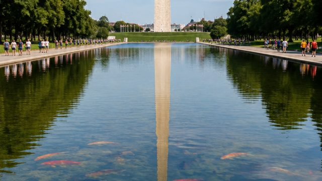 Controversy Surrounds Reflecting Pool: Trump Promises Court Evidence
