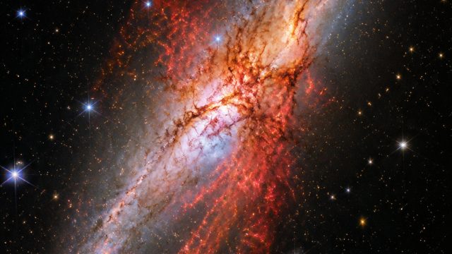 Discovering the Cigar Galaxy: Webb Telescope Reveals Hidden Stars