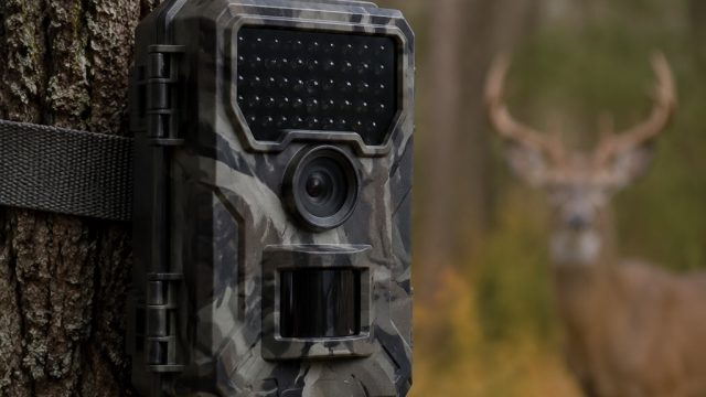 Unbeatable Deals on Cellular Trail Cameras Under $50 | 188bet alternatif link, top online slot websi