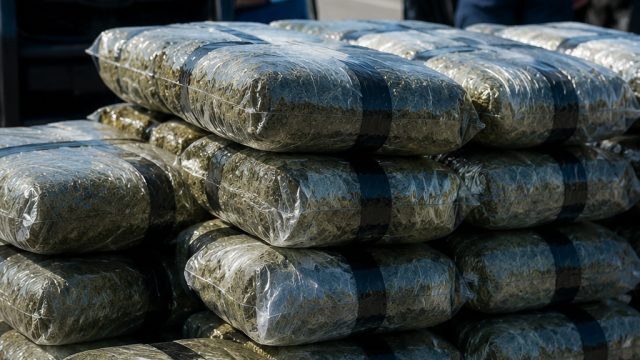 Major Marijuana Bust: Arkansas Troopers Recover 190 Pounds | reslut togel hongkong, kim gun mo wrong